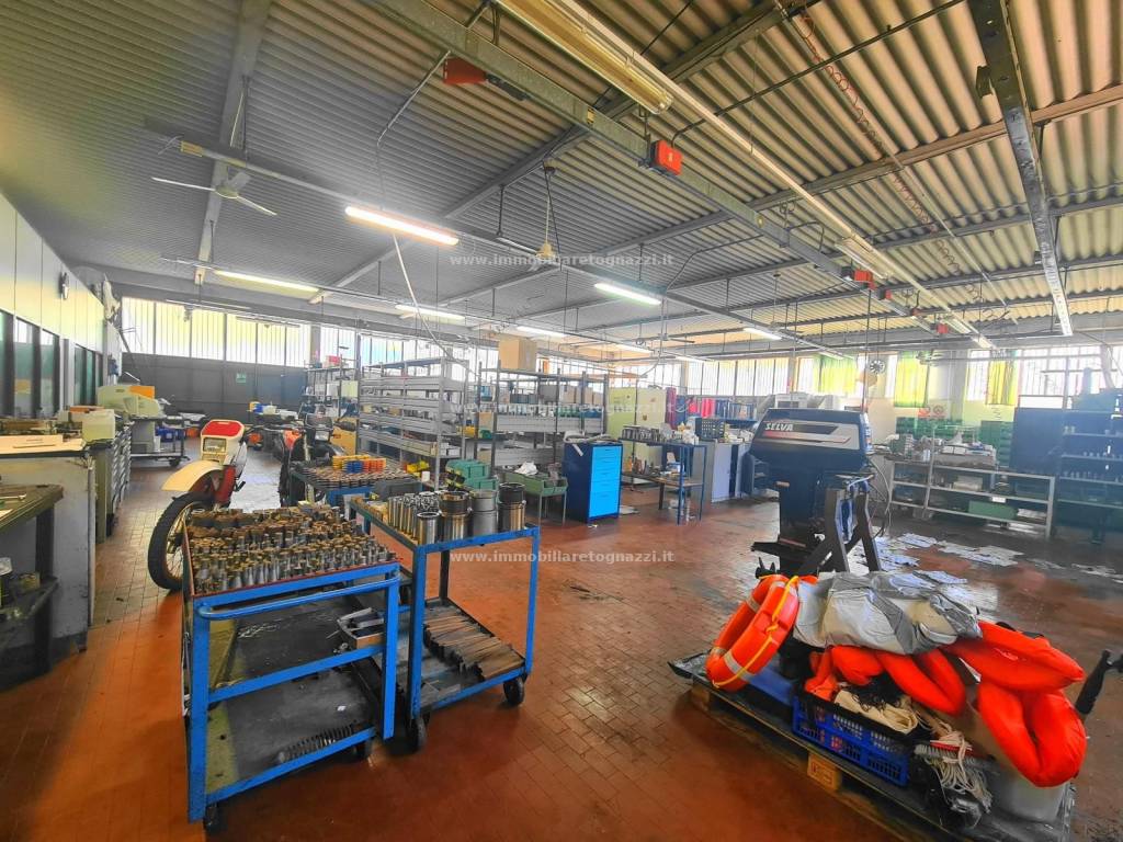 immagine annuncio 5 di 10