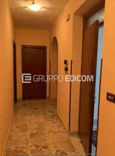 immagine annuncio 4 di 6