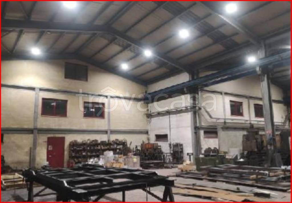 immagine annuncio 4 di 15