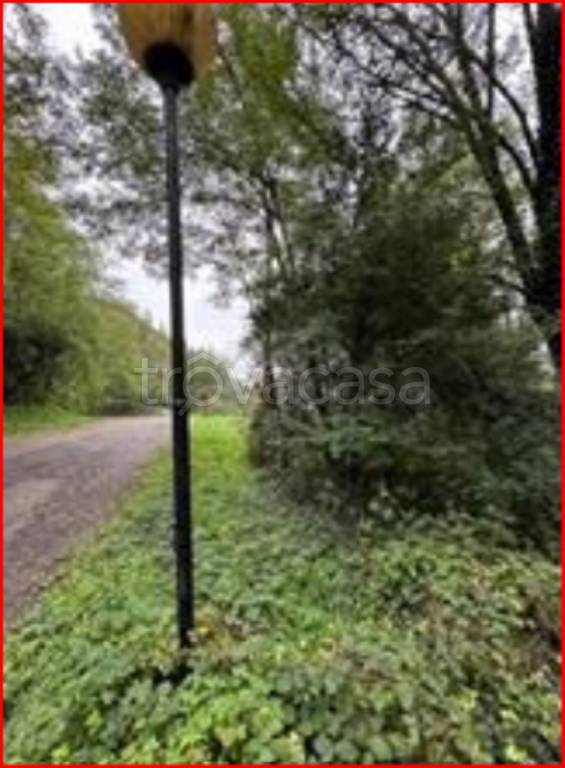 immagine annuncio 4 di 12