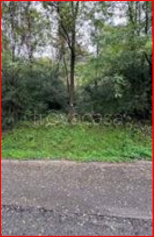 immagine annuncio 6 di 12