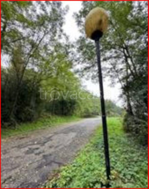 immagine annuncio 8 di 12