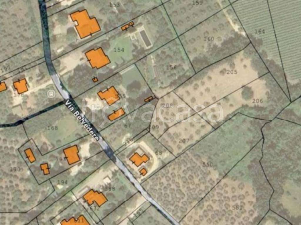 immagine annuncio 9 di 12