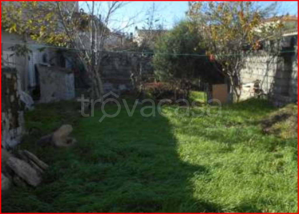 immagine annuncio 5 di 12