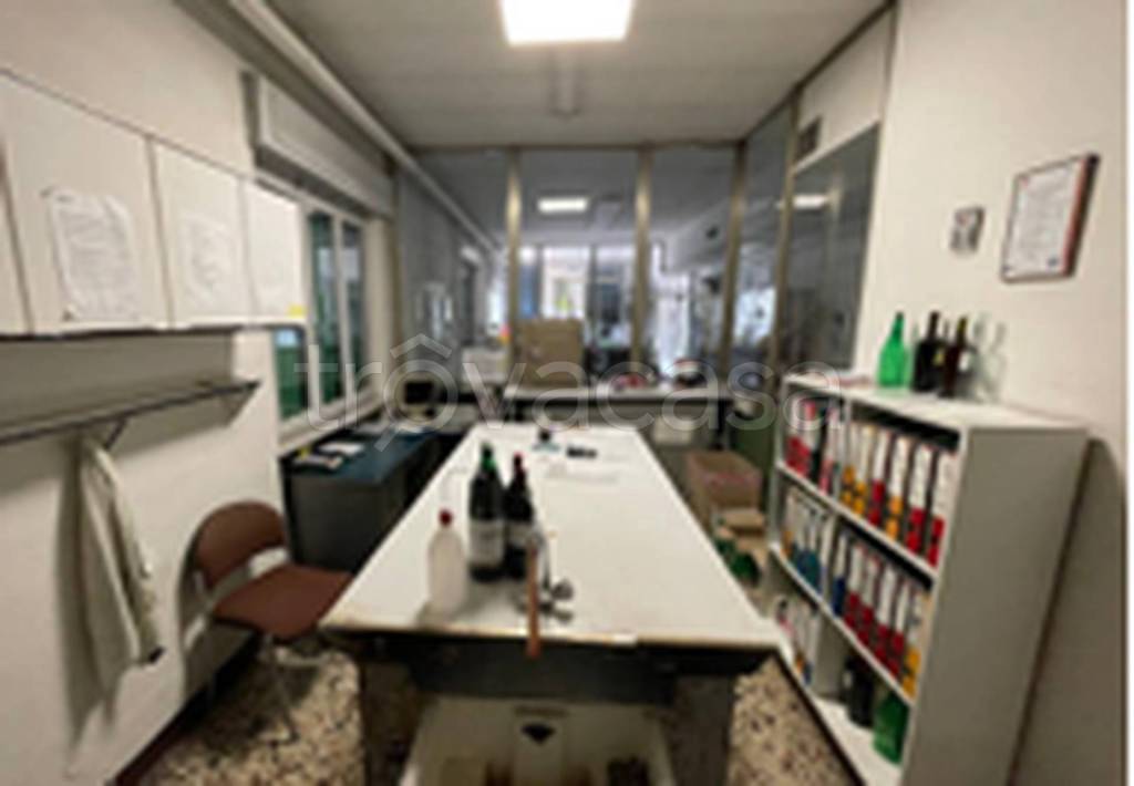 immagine annuncio 4 di 9