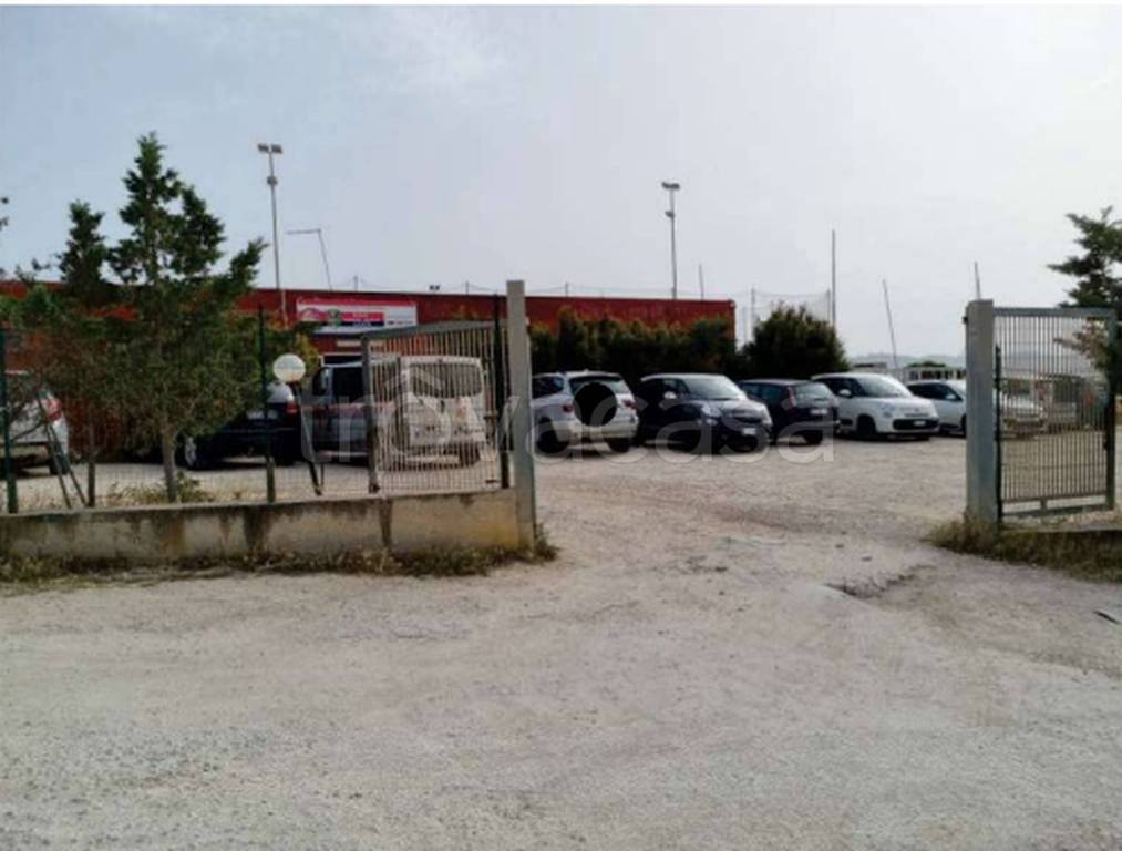 immagine annuncio 2 di 12