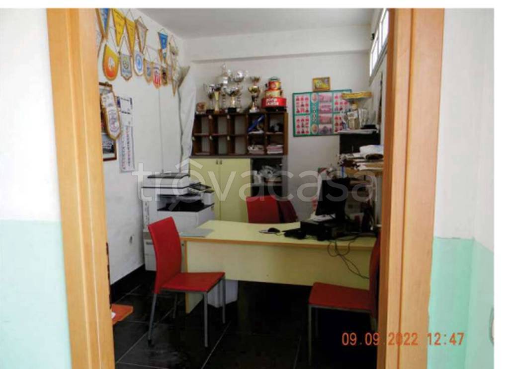 immagine annuncio 11 di 12