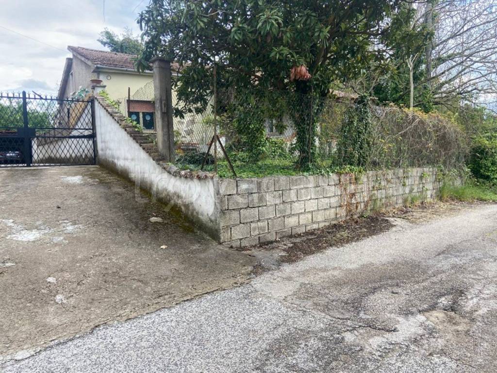 immagine annuncio 6 di 11