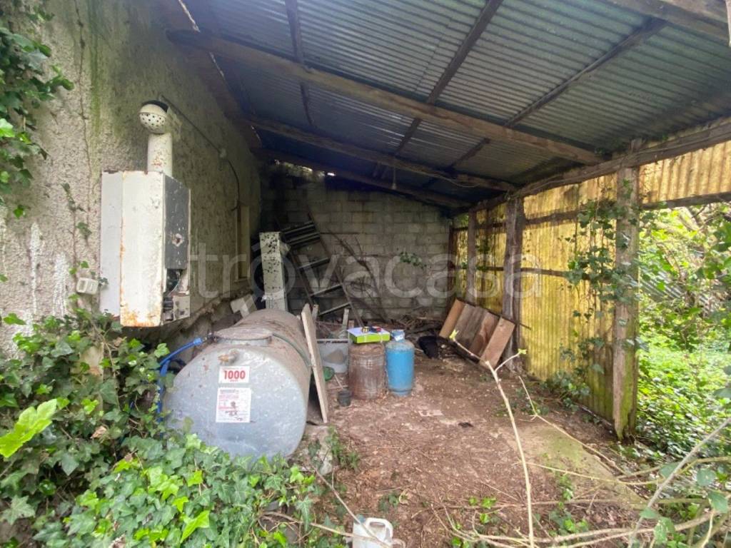 immagine annuncio 9 di 11