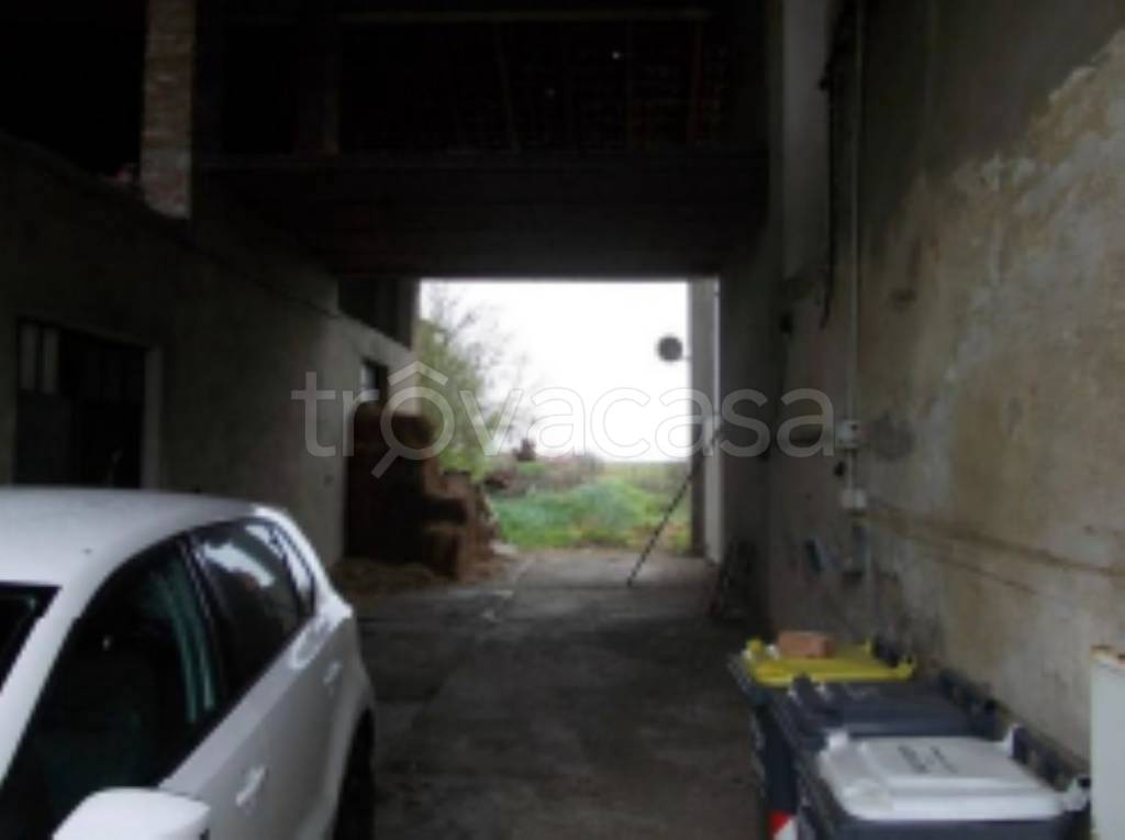 immagine annuncio 4 di 11