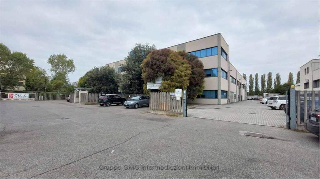 immagine annuncio 2 di 15