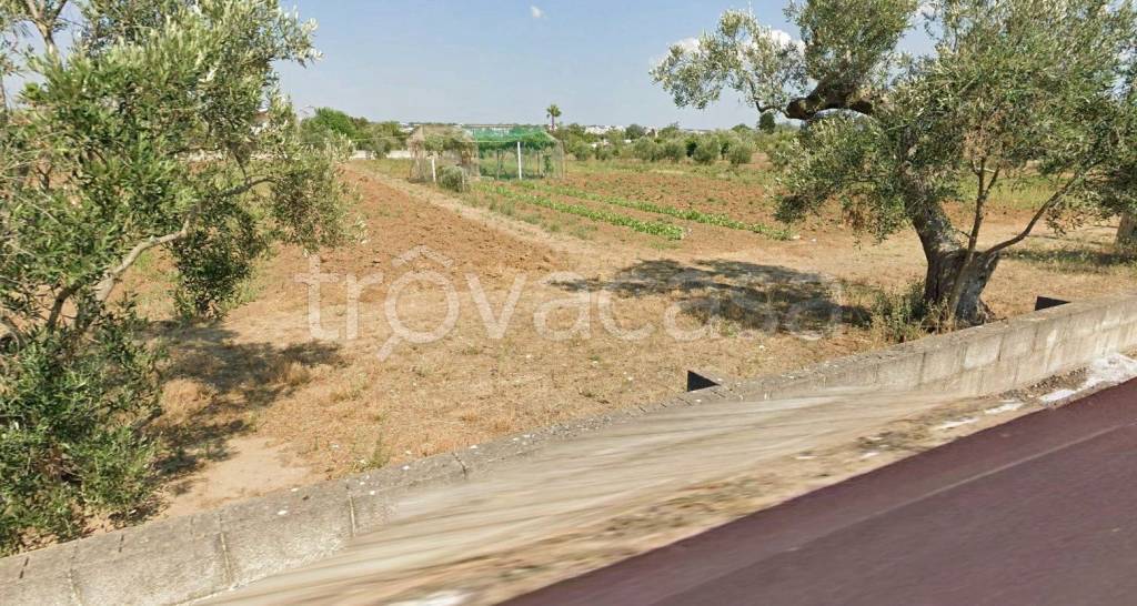 immagine annuncio 2 di 7