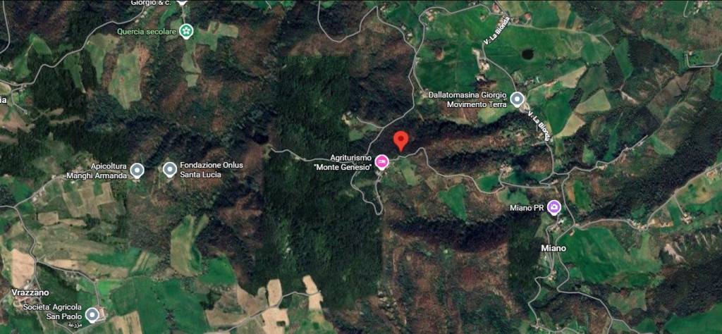 immagine annuncio 4 di 11