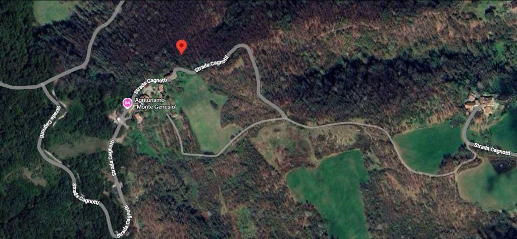 immagine annuncio 6 di 11