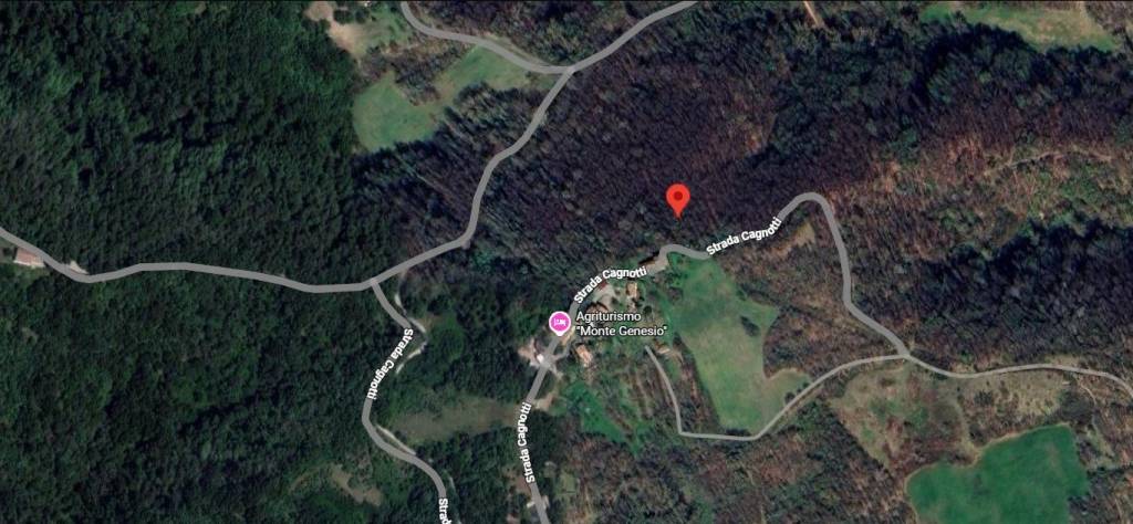 immagine annuncio 7 di 11