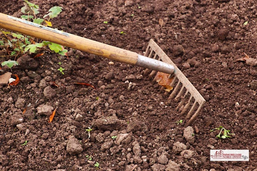 immagine annuncio 2 di 9