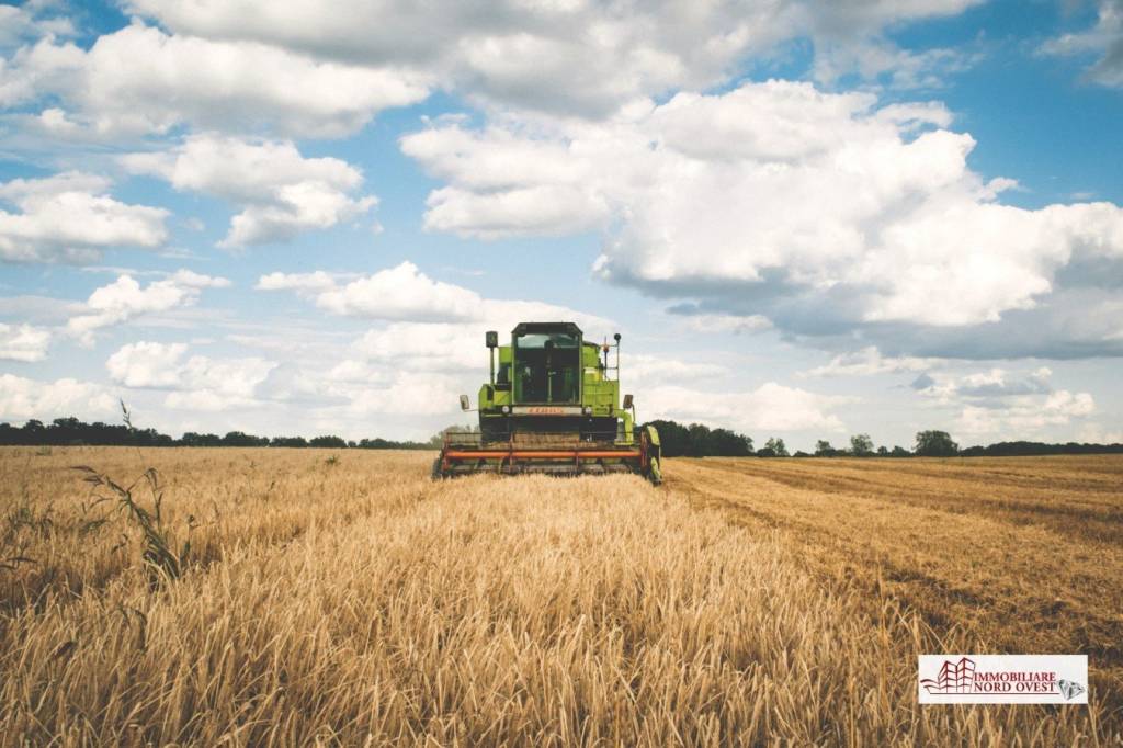 immagine annuncio 5 di 9