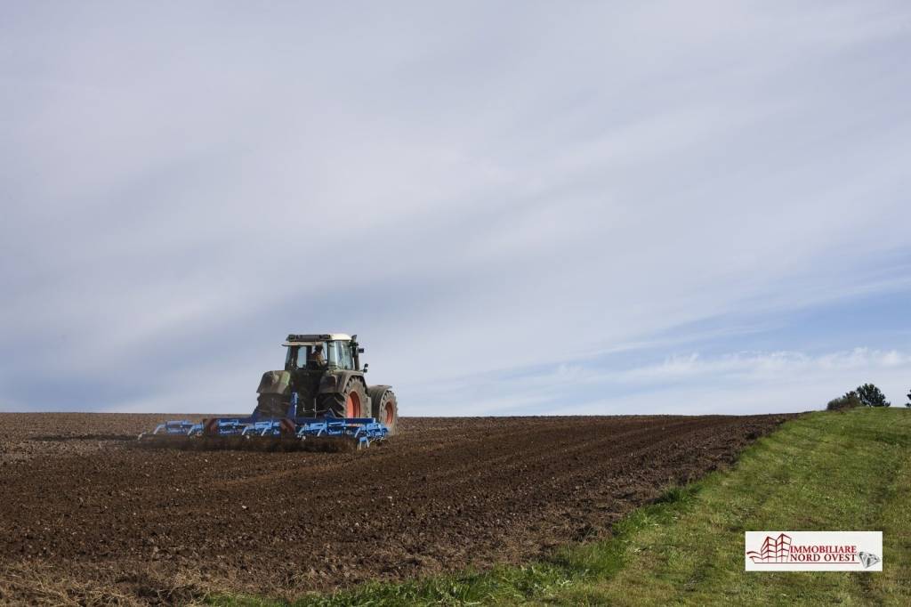 immagine annuncio 6 di 9