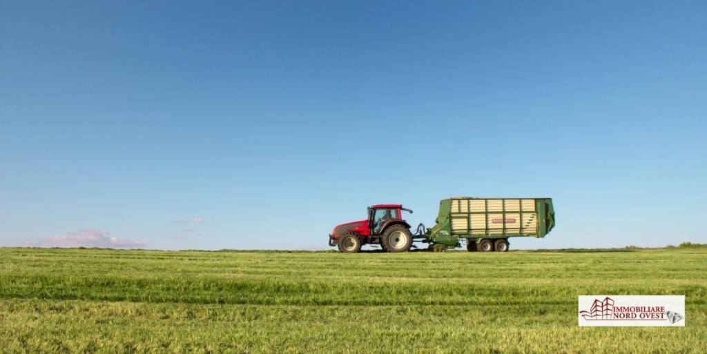 immagine annuncio 7 di 9