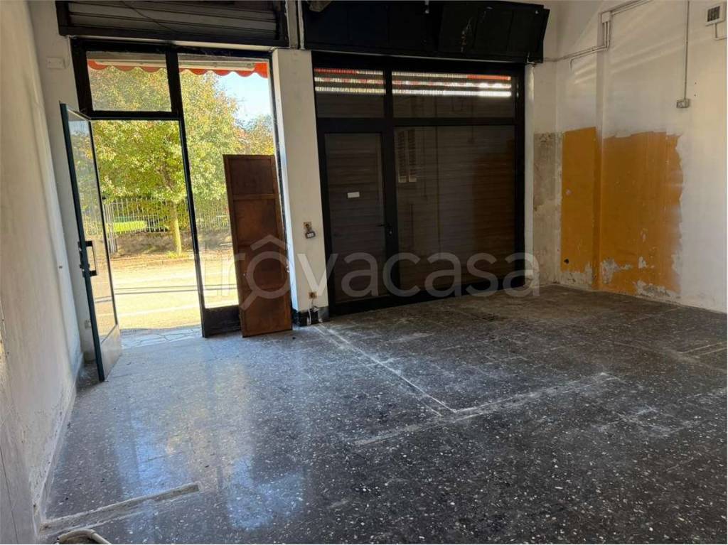 immagine annuncio 4 di 9