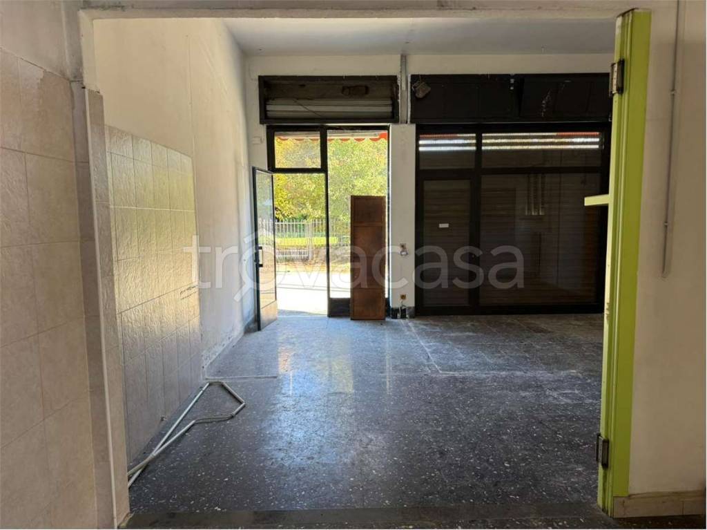 immagine annuncio 5 di 9