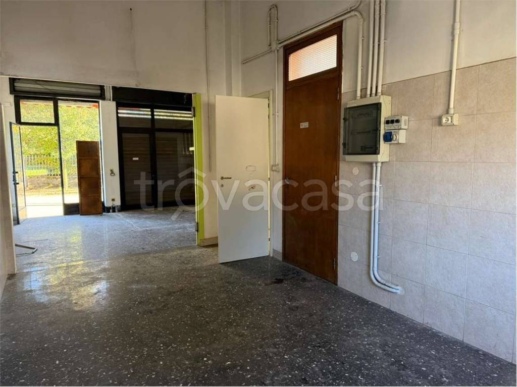 immagine annuncio 6 di 9