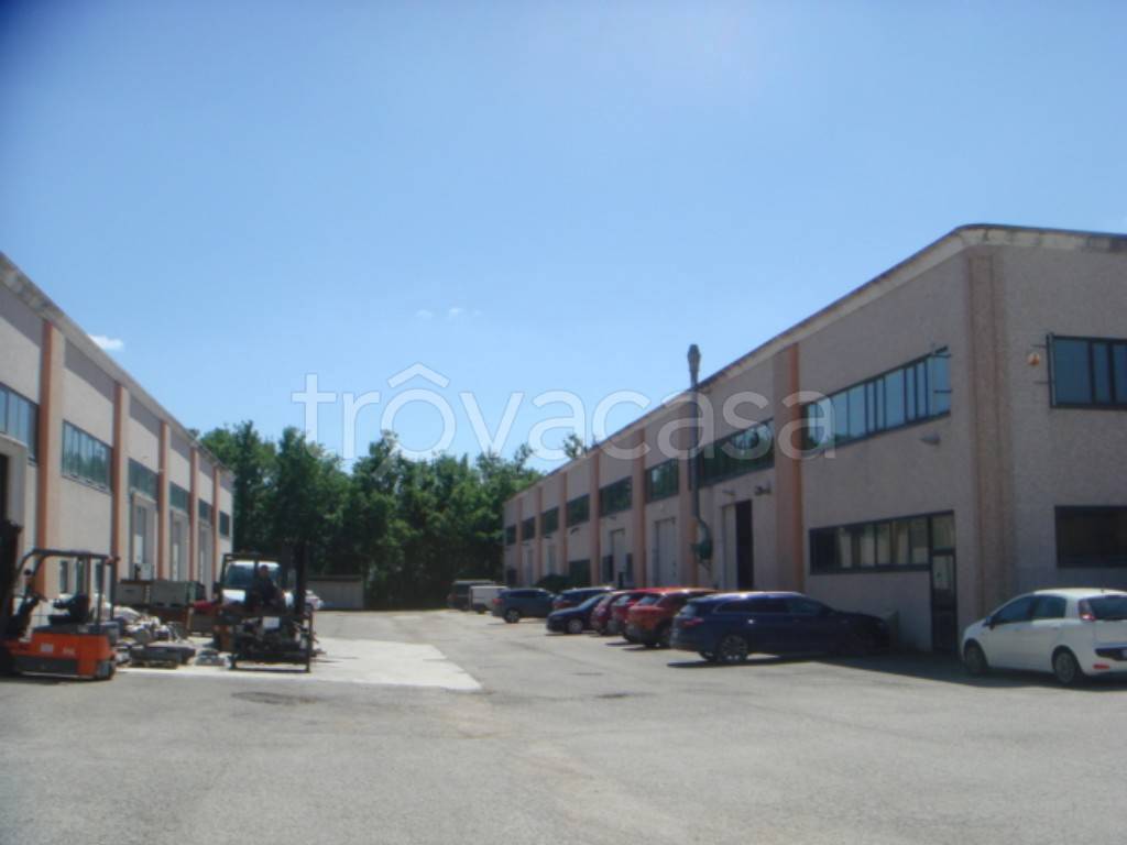 immagine annuncio 3 di 10