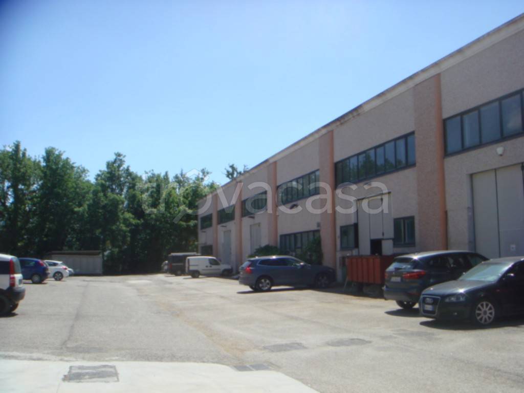 immagine annuncio 5 di 10