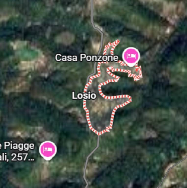 immagine annuncio 11 di 12