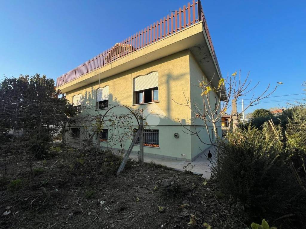 immagine annuncio 3 di 13