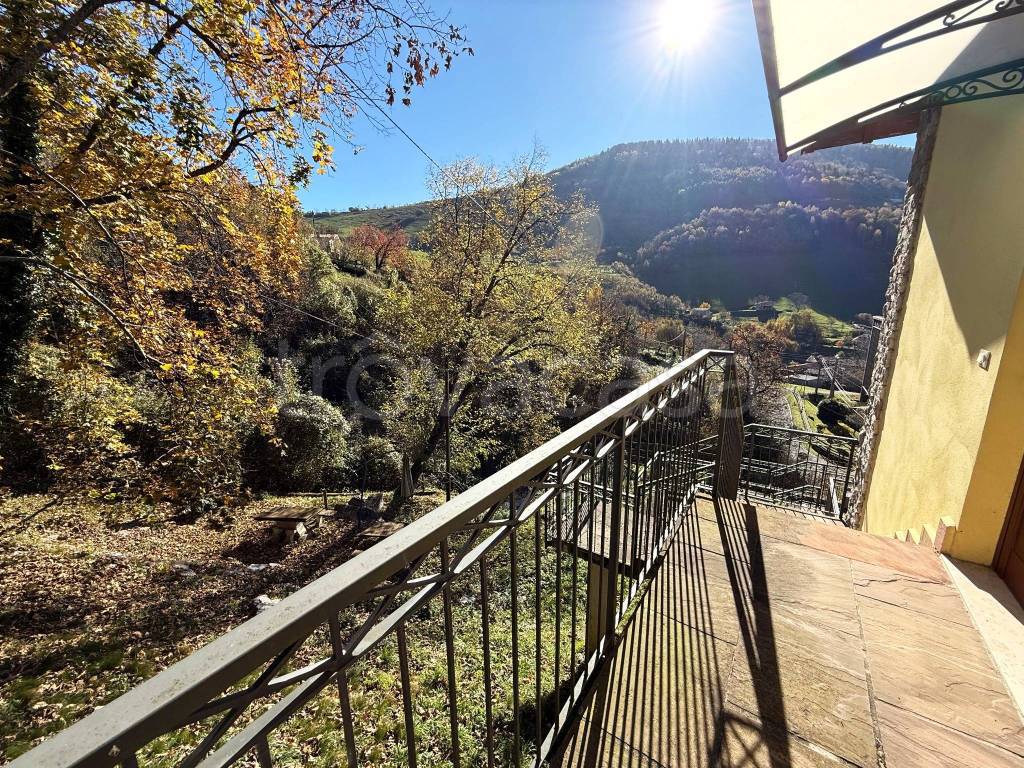 immagine annuncio 12 di 14