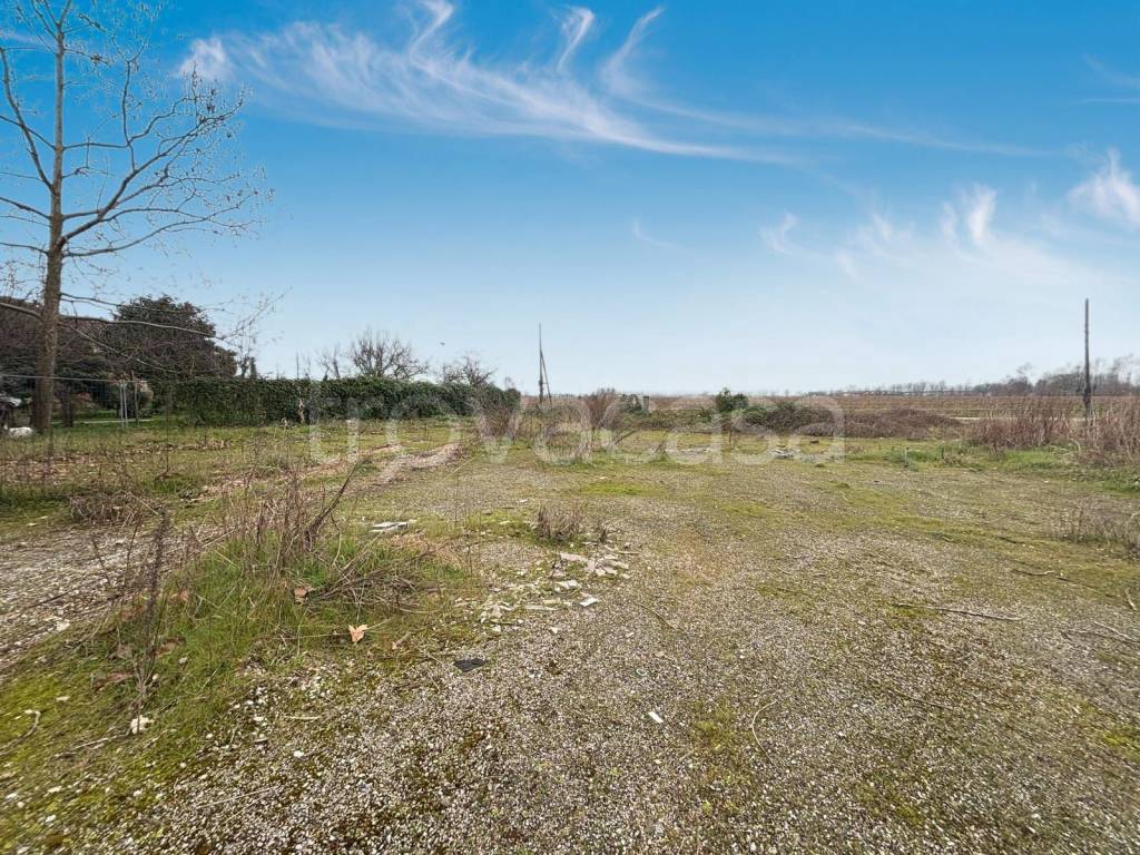 immagine annuncio 4 di 11