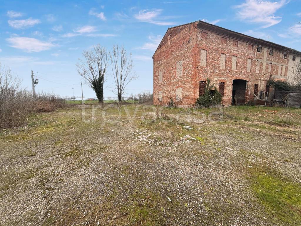 immagine annuncio 9 di 11