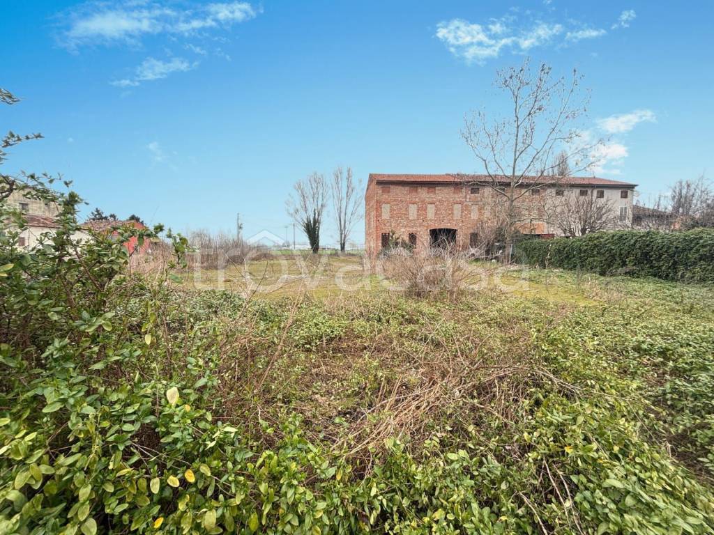 immagine annuncio 10 di 11