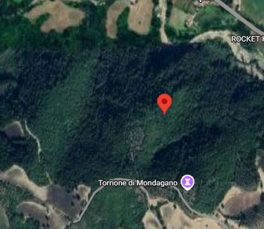 immagine annuncio 1 di 11