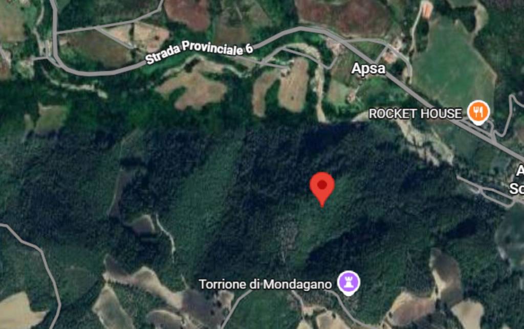 immagine annuncio 2 di 11