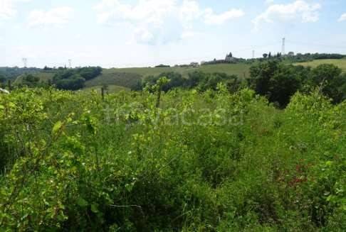 immagine annuncio 4 di 9