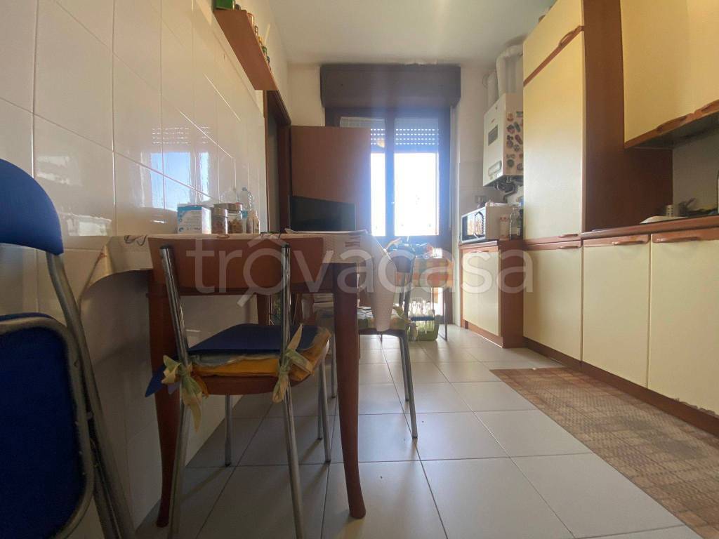 immagine annuncio 9 di 15