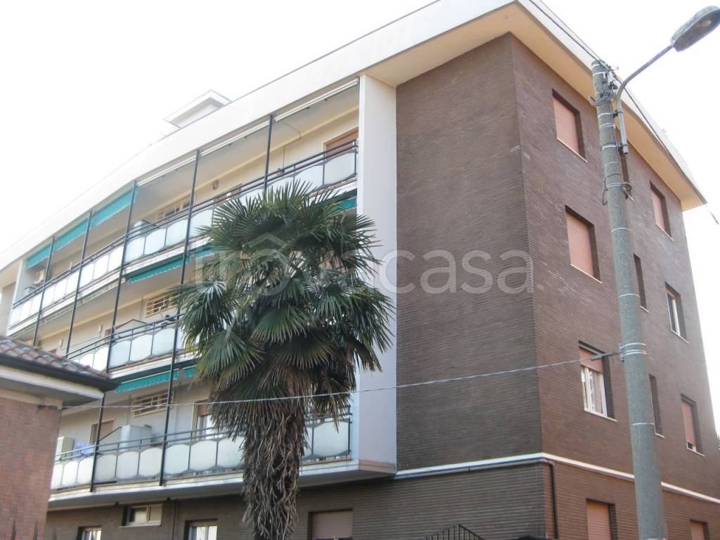 immagine annuncio 1 di 11