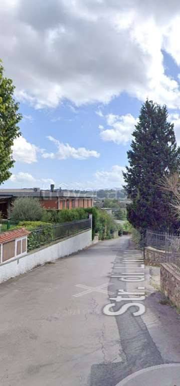 immagine annuncio 11 di 14