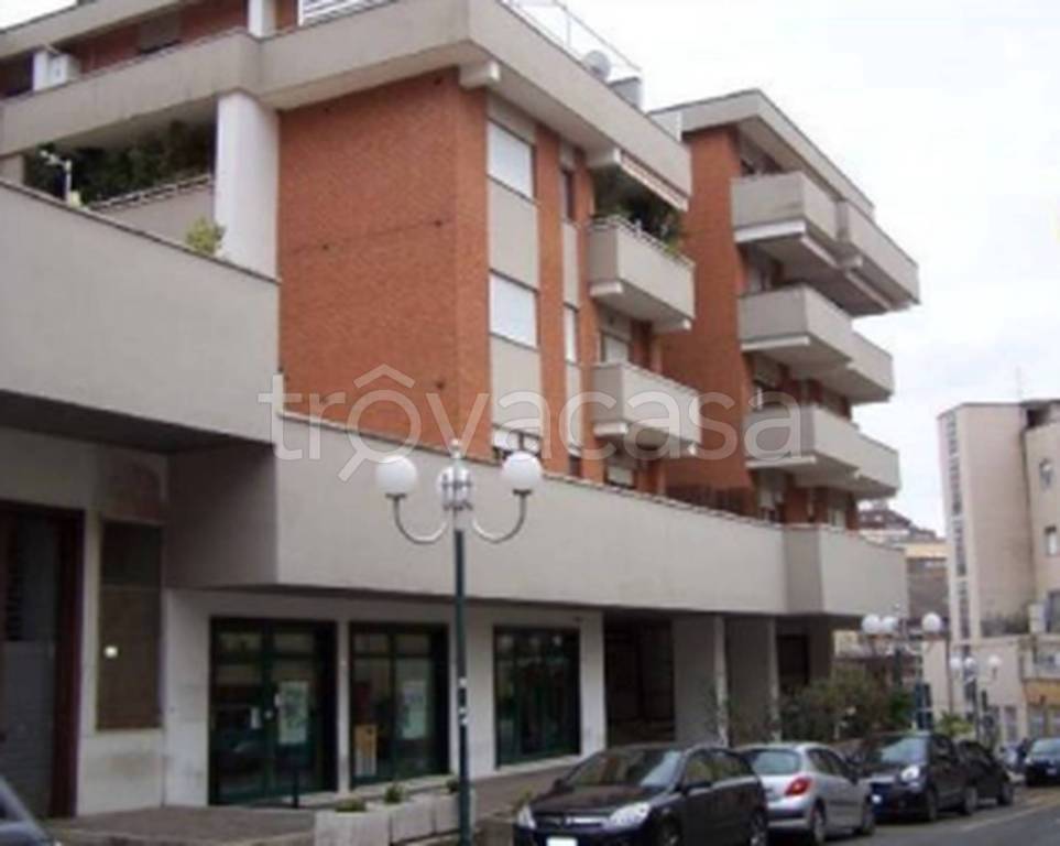 immagine annuncio 11 di 12