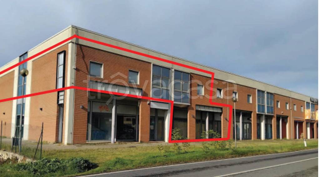 immagine annuncio 1 di 11