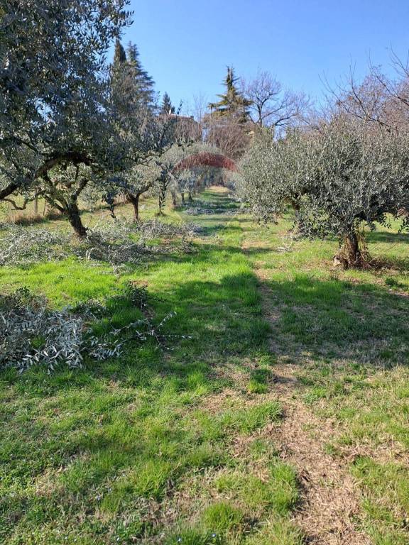 immagine annuncio 2 di 7