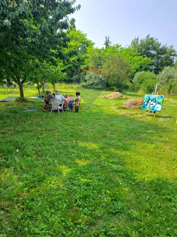 immagine annuncio 3 di 7