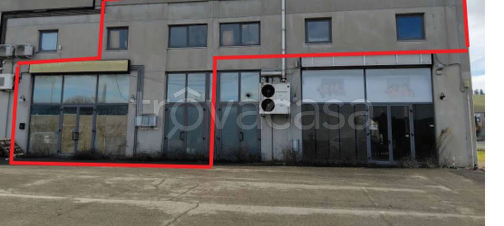 immagine annuncio 9 di 11