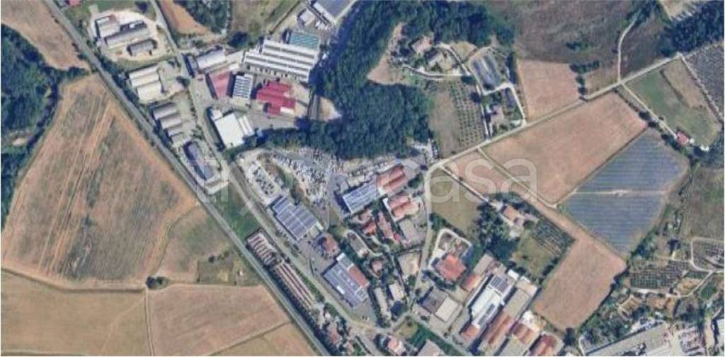 immagine annuncio 7 di 14