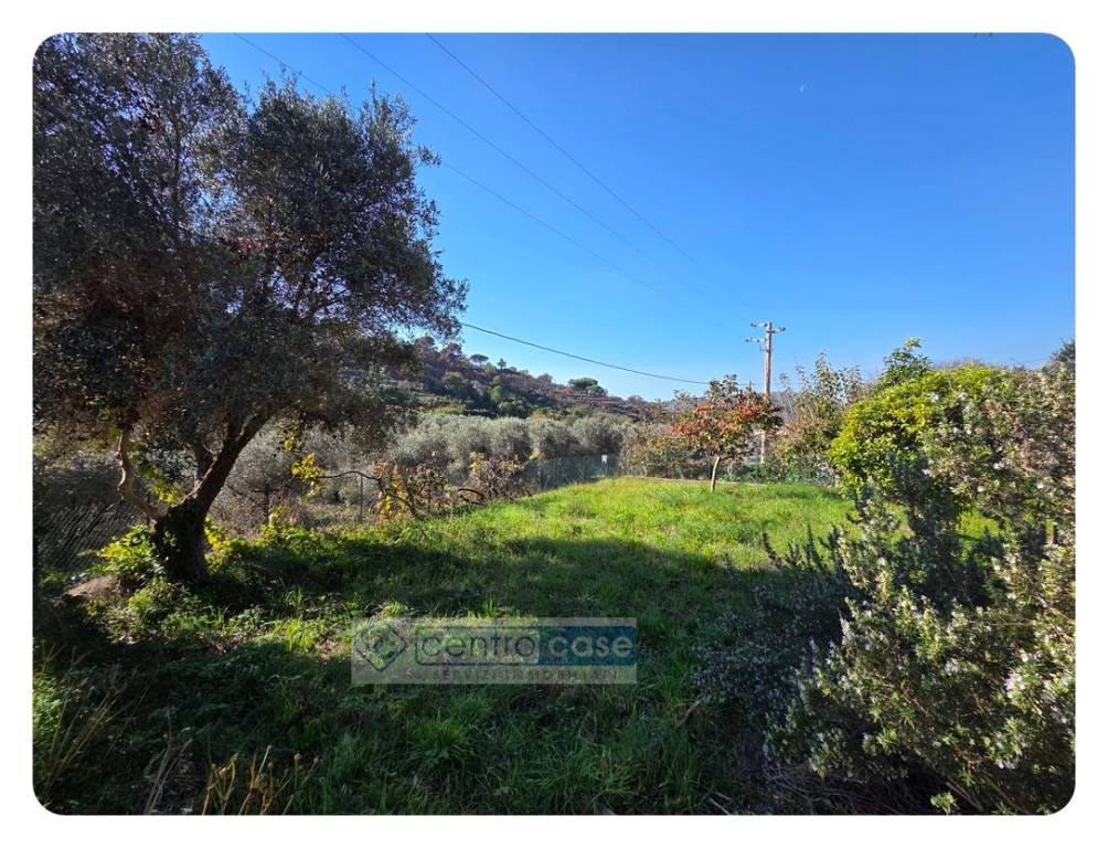 immagine annuncio 3 di 4