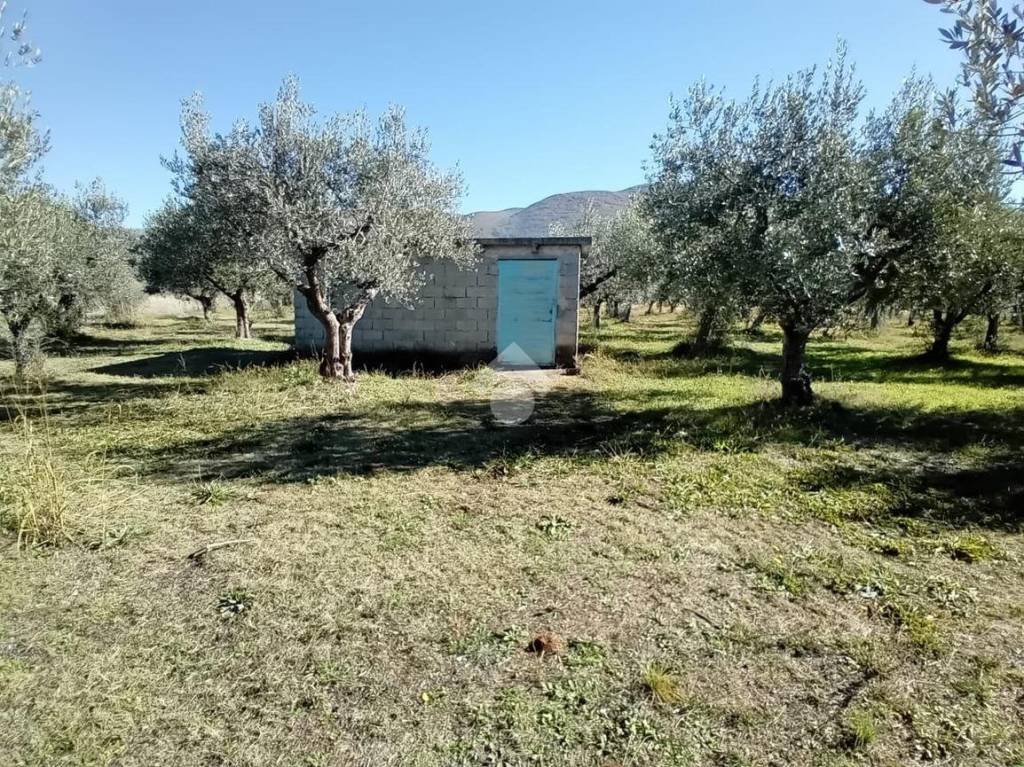 immagine annuncio 2 di 13