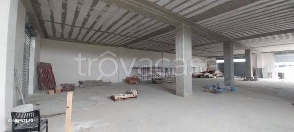 immagine annuncio 4 di 9