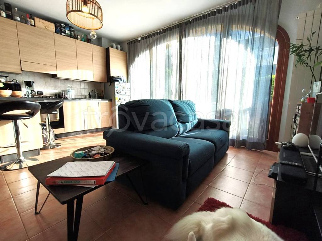 immagine annuncio 10 di 15